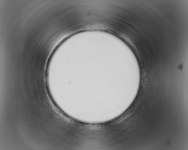 X0000115111087200912081316