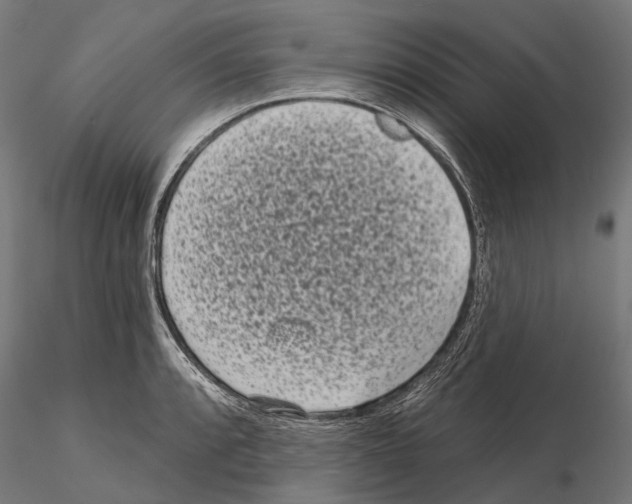 X0000115111088200912081316