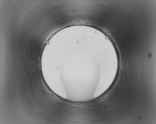 X0000115111089200912081316