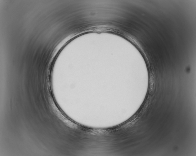 X0000115111091200912081316