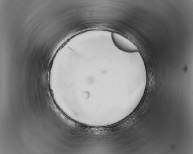 X0000115111092200912081316