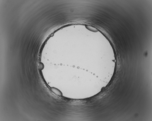 X0000115111093200912081316