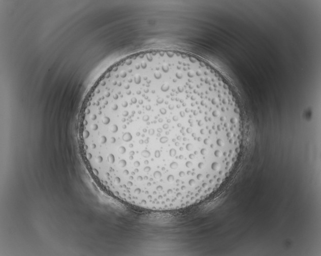 X0000115111094200912081316