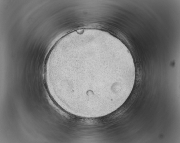 X0000115111095200912081316