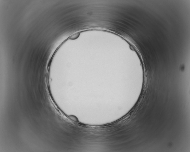 X0000115111096200912081316