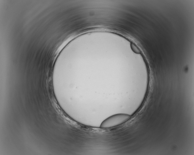 X0000115111097200912081315