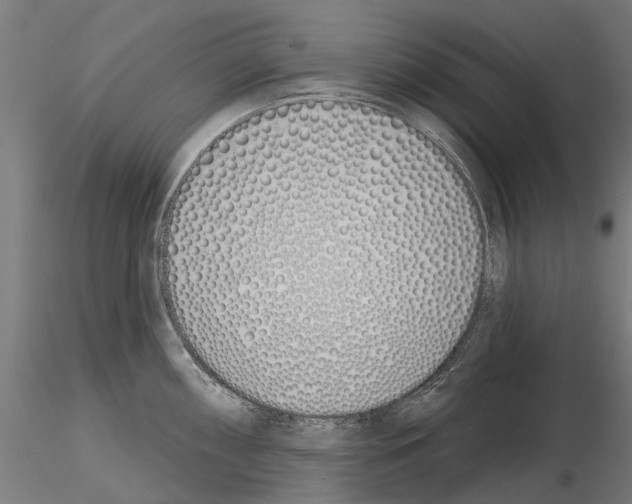 X0000115111098200912081315