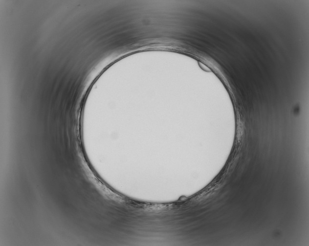 X0000115111099200912081315