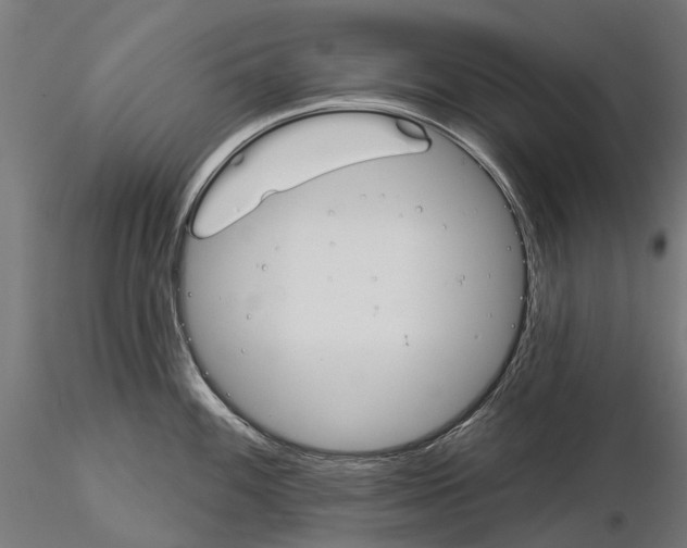 X0000115111100200912081315