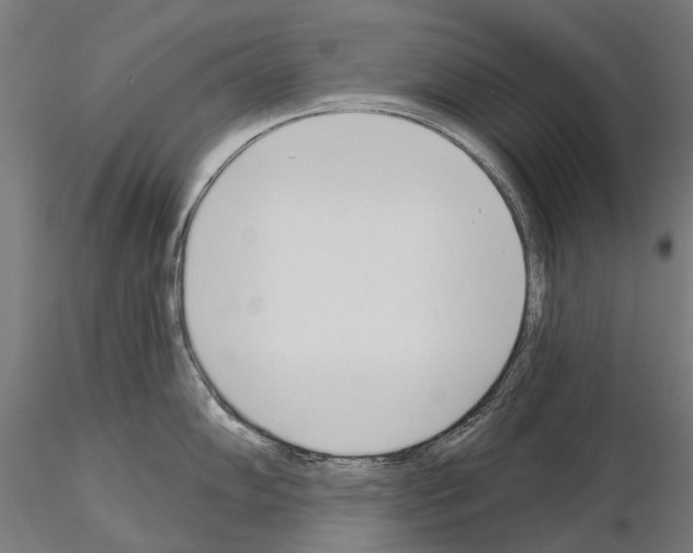 X0000115111102200912081315