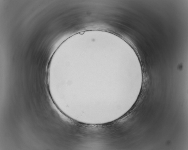 X0000115111103200912081315