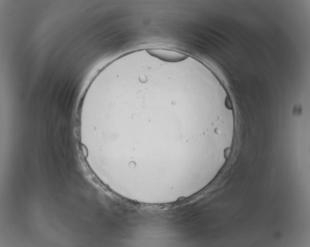 X0000115111104200912081315