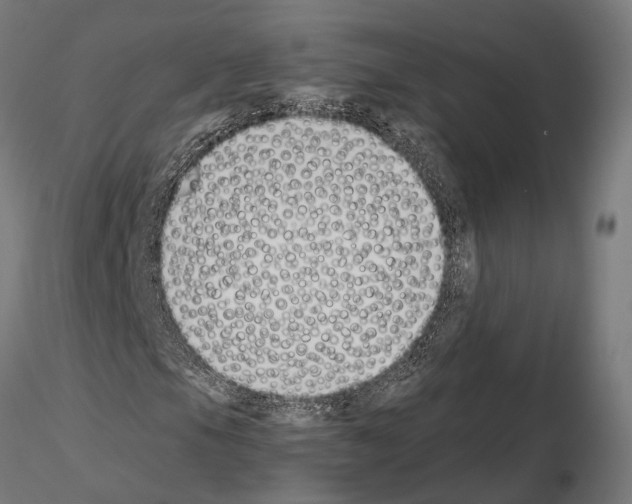 X0000115111105200912081315