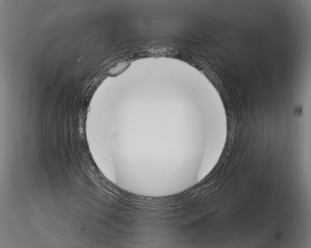 X0000115111106200912081315