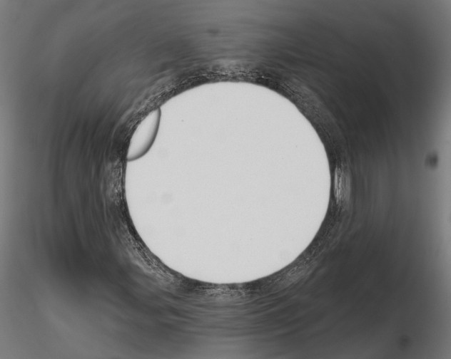 X0000115111107200912081315