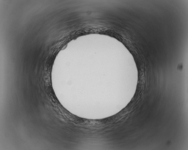 X0000115111109200912081315