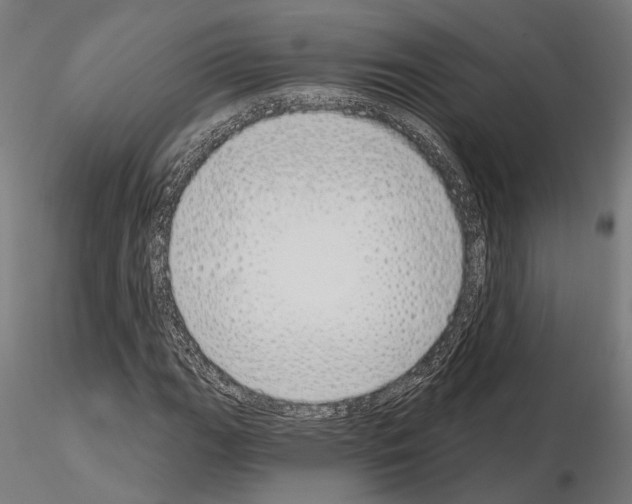 X0000115111111200912081315