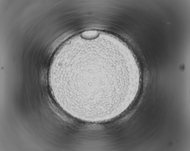 X0000115111113200912081315