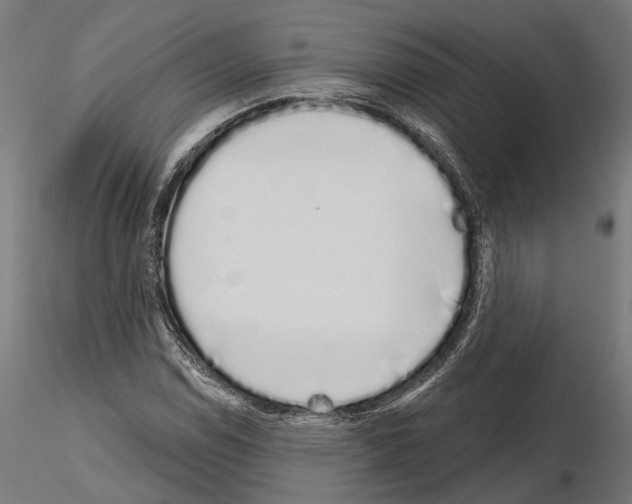 X0000115111114200912081315