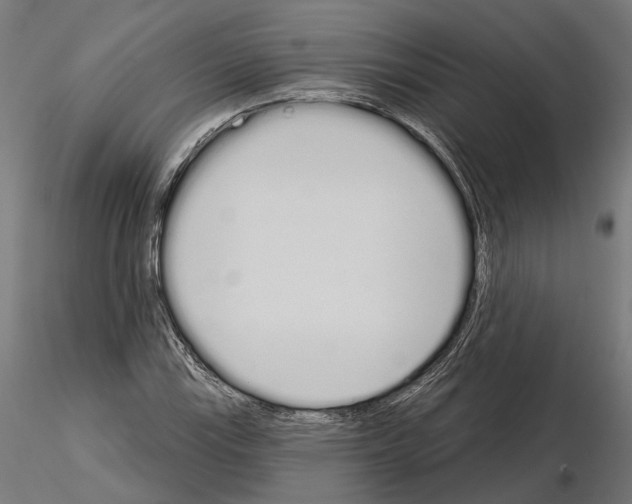 X0000115111115200912081315