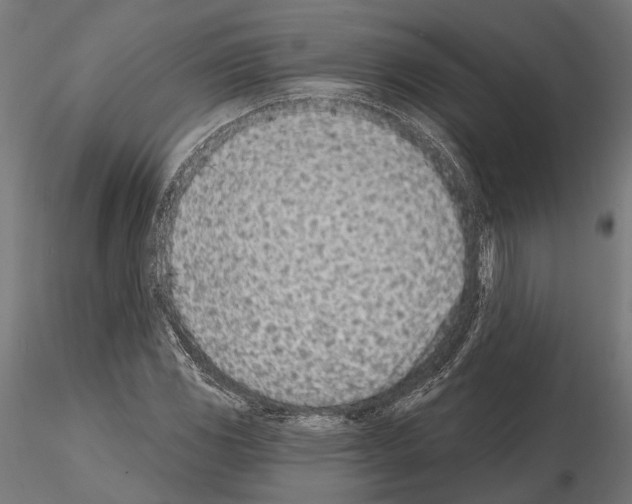 X0000115111117200912081315