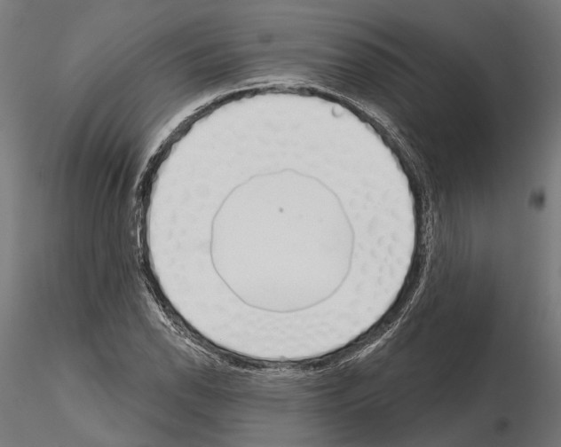 X0000115111118200912081315