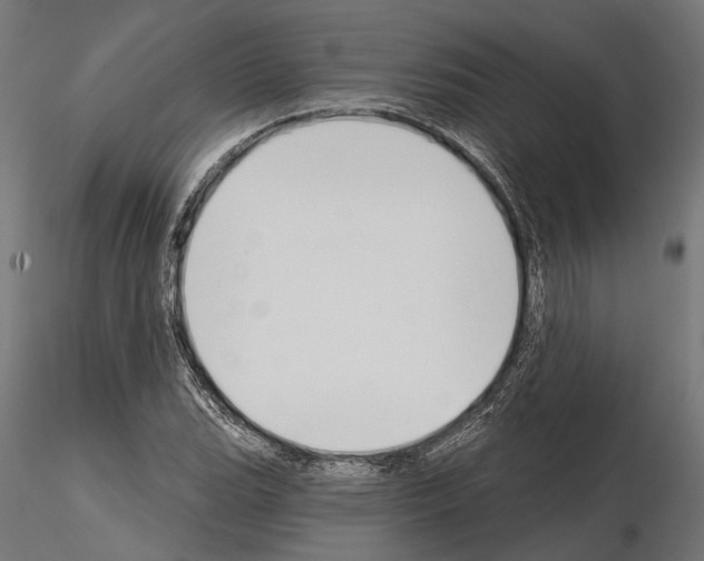 X0000115111119200912081315