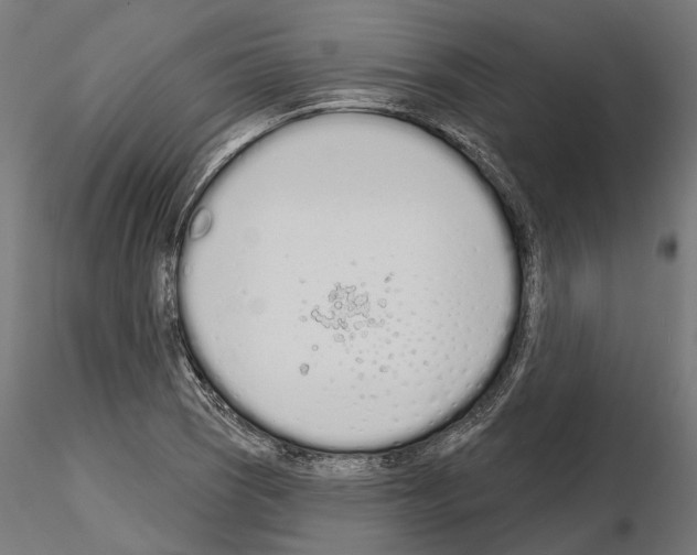 X0000115111121200912081315