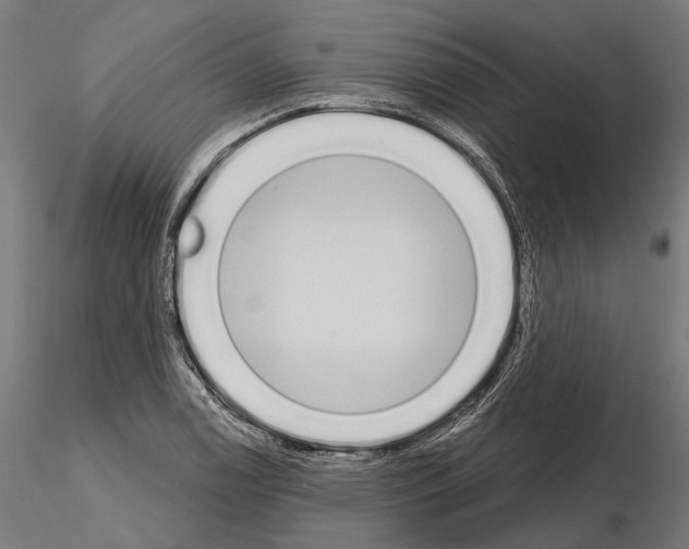 X0000115111122200912081315