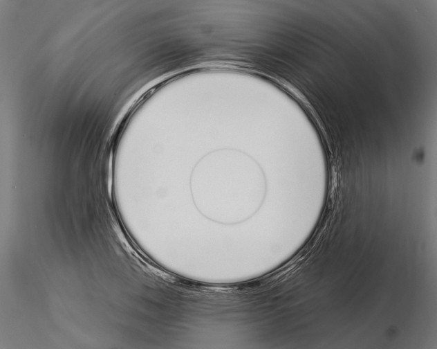 X0000115111123200912081315