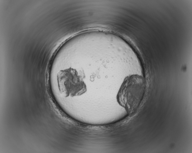 X0000115111125200912081315