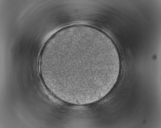 X0000115111127200912081315