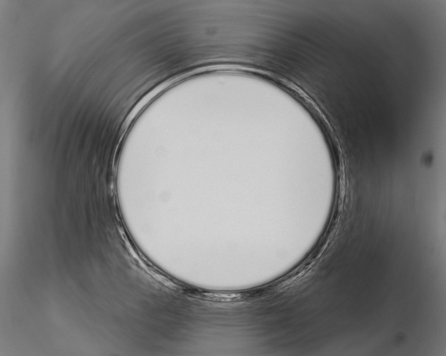 X0000115111129200912081315