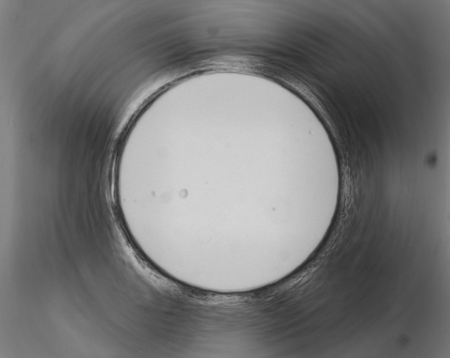 X0000115111131200912081315