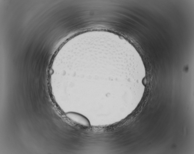 X0000115111134200912081315