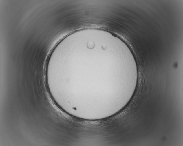 X0000115111135200912081315