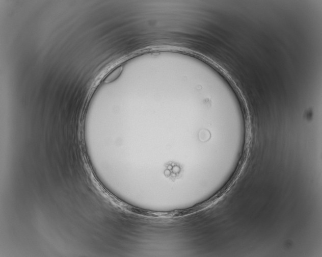 X0000115111137200912081315