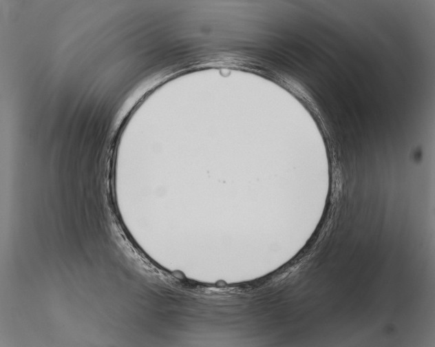 X0000115111138200912081315