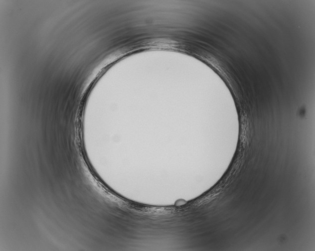 X0000115111139200912081315