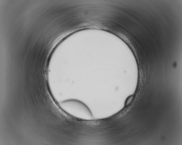 X0000115111141200912081315