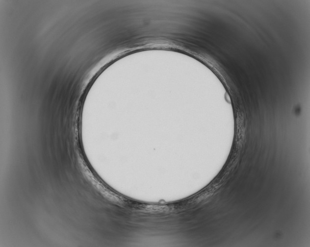 X0000115111142200912081315