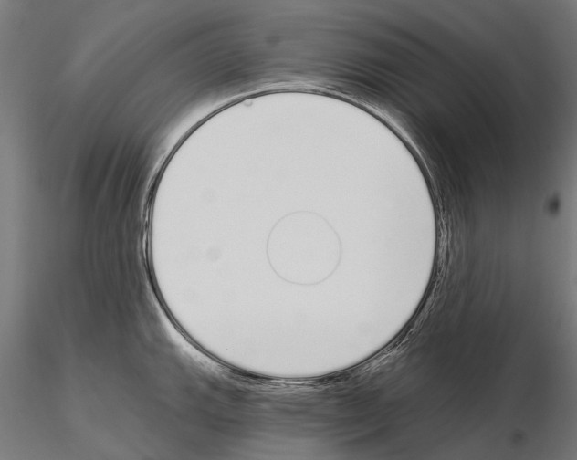 X0000115111143200912081315