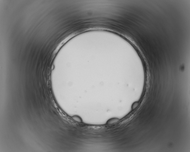 X0000115111145200912081315