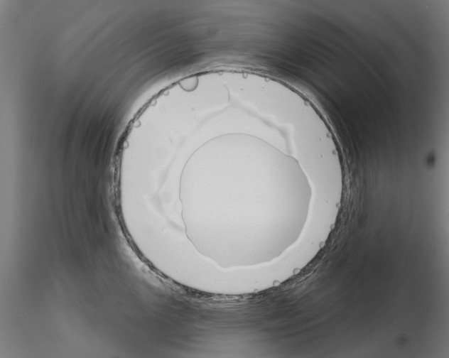 X0000115111147200912081315