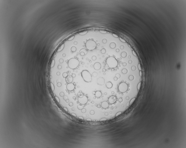 X0000115111149200912081315