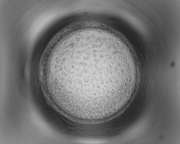 X0000115111151200912081315