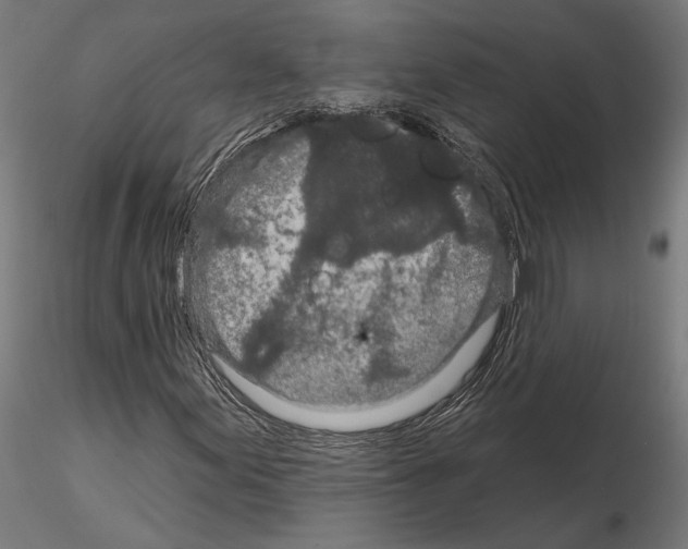 X0000115111155200912081315