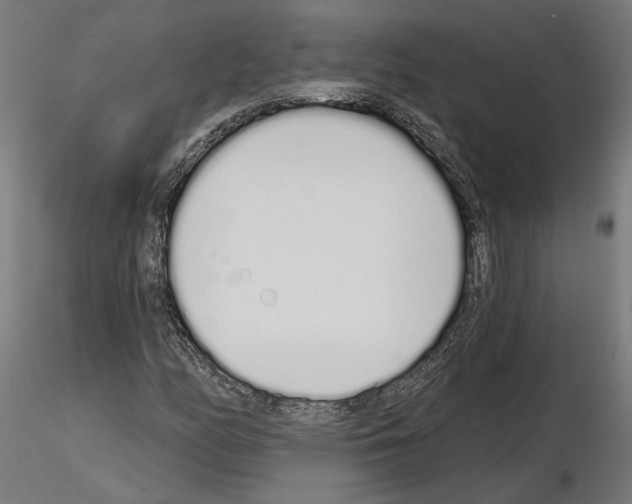 X0000115111158200912081315