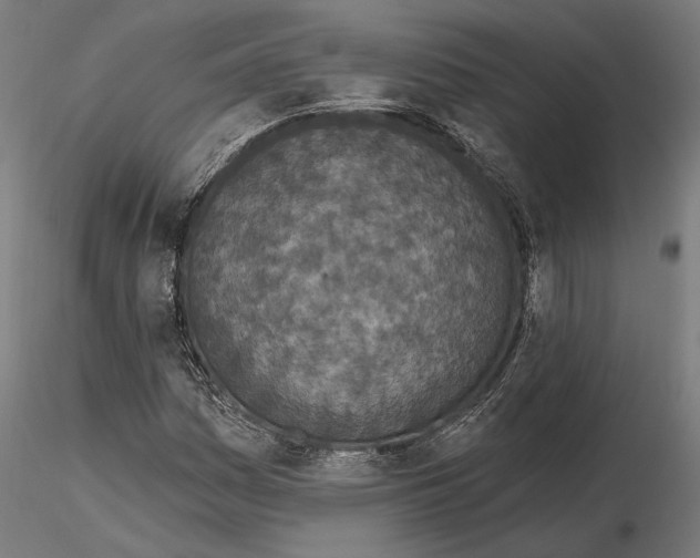 X0000115111161200912081315