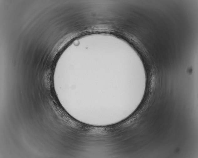 X0000115111162200912081315